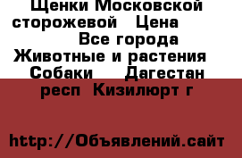 Щенки Московской сторожевой › Цена ­ 35 000 - Все города Животные и растения » Собаки   . Дагестан респ.,Кизилюрт г.